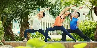 Khám Phá Vị Ngọt Từ Nước Dừa Mát Lành Trong Ngày Hè Này